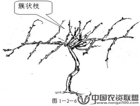 附件