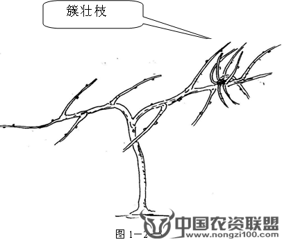 附件
