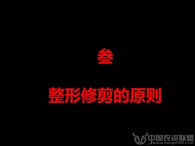 附件