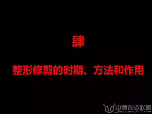 附件