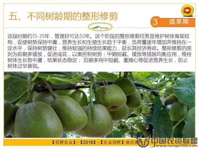 附件