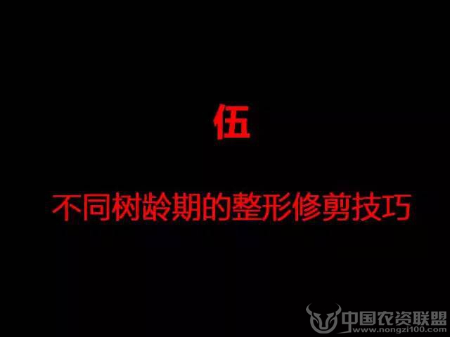 附件