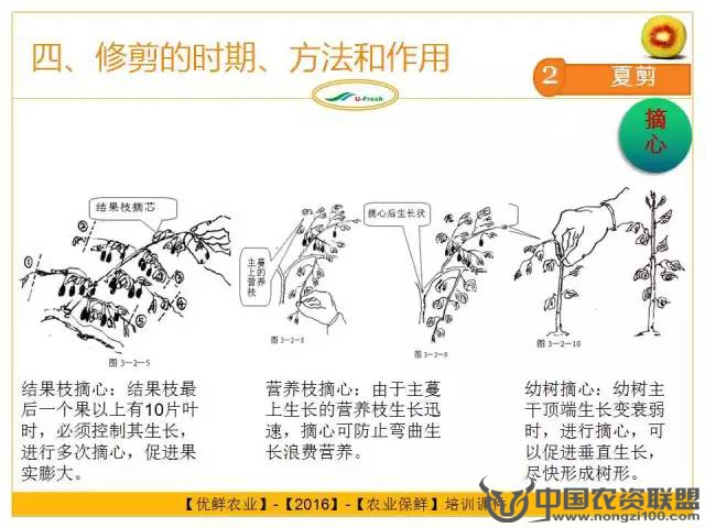 附件