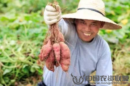 附件