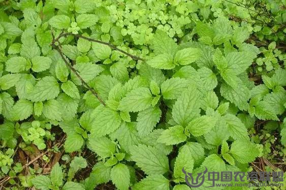 附件