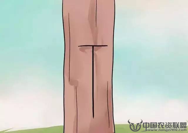 附件