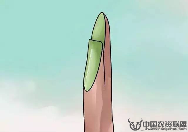 附件