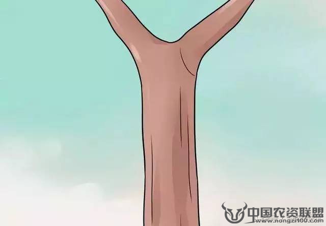 附件