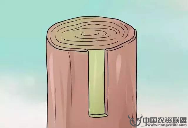 附件