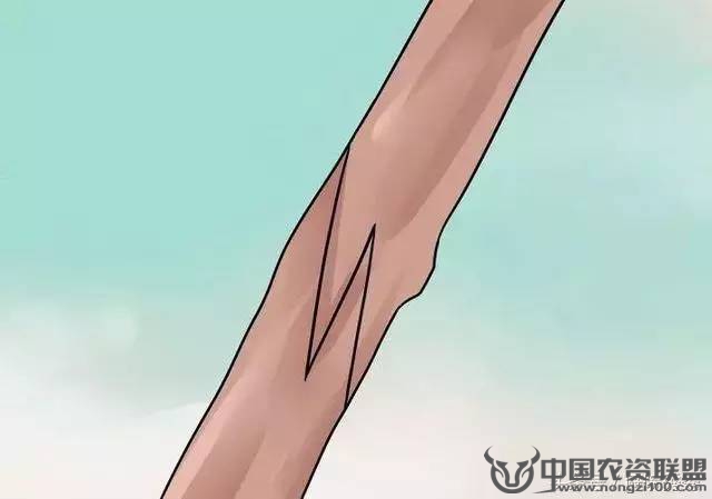 附件
