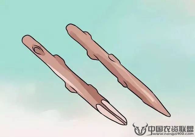 附件