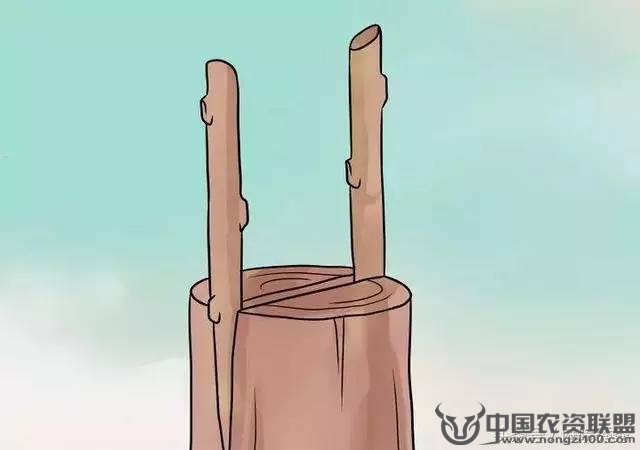 附件