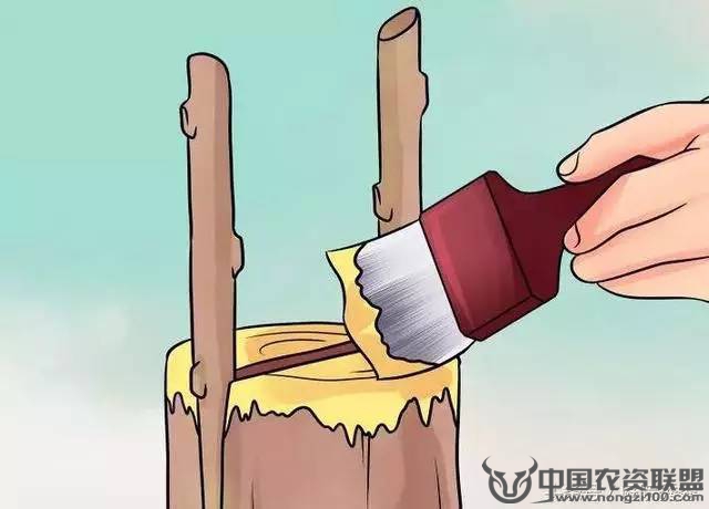 附件