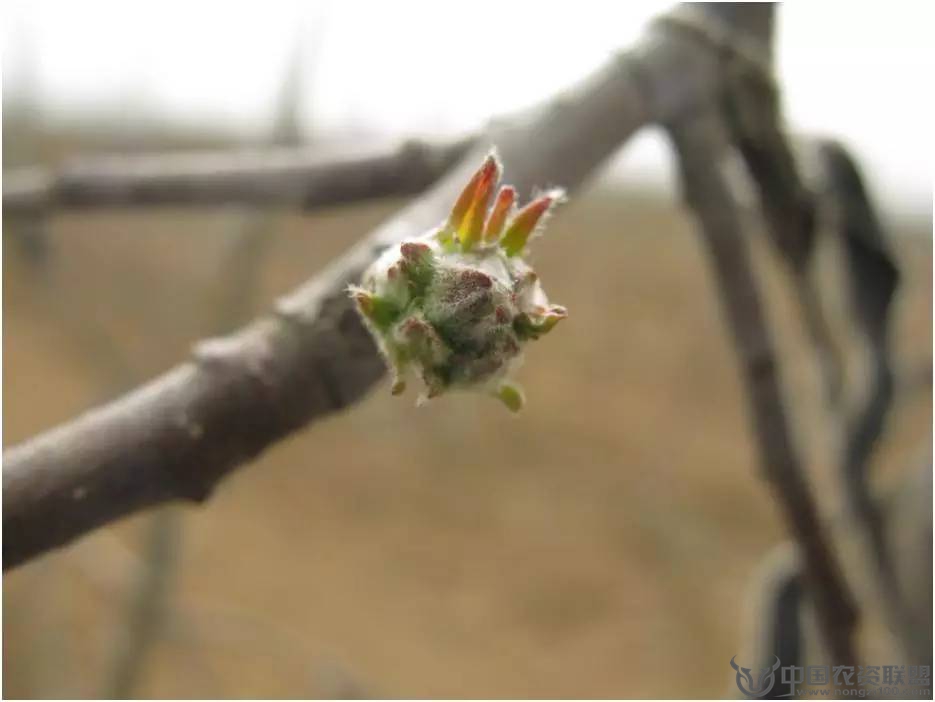 附件