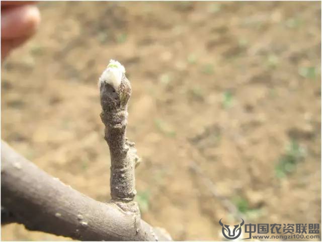 附件