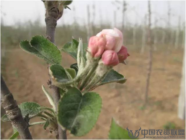 附件