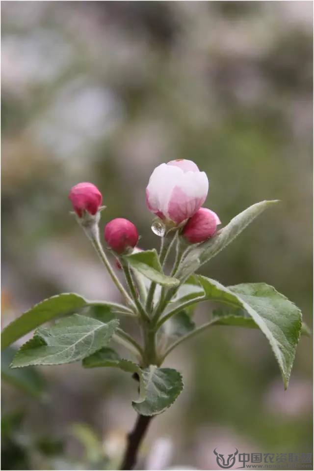 附件