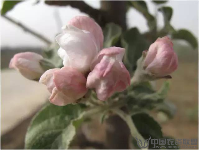 附件