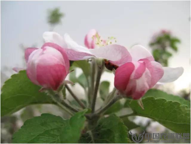 附件