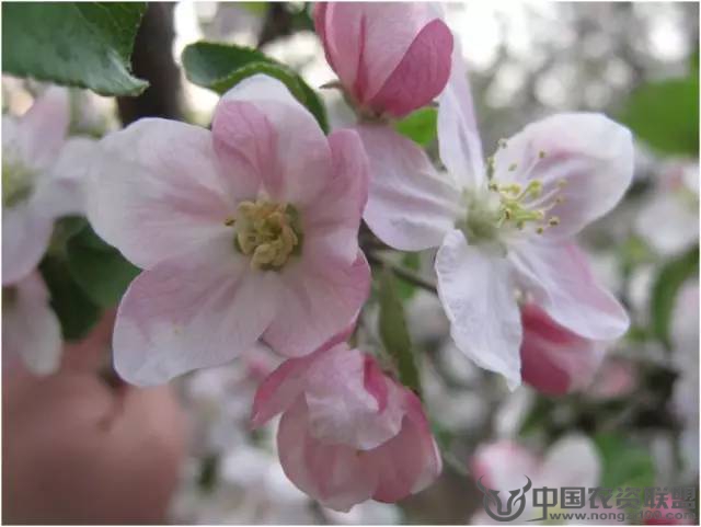 附件