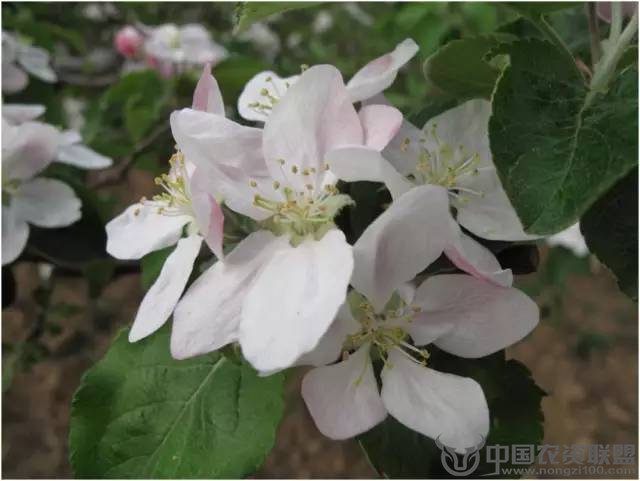 附件