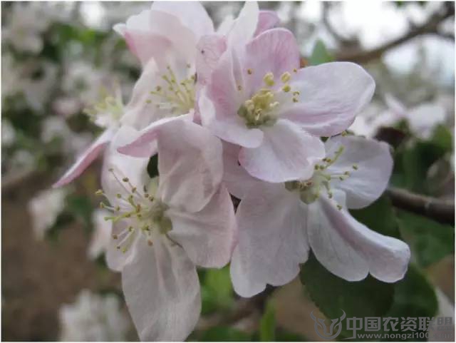 附件