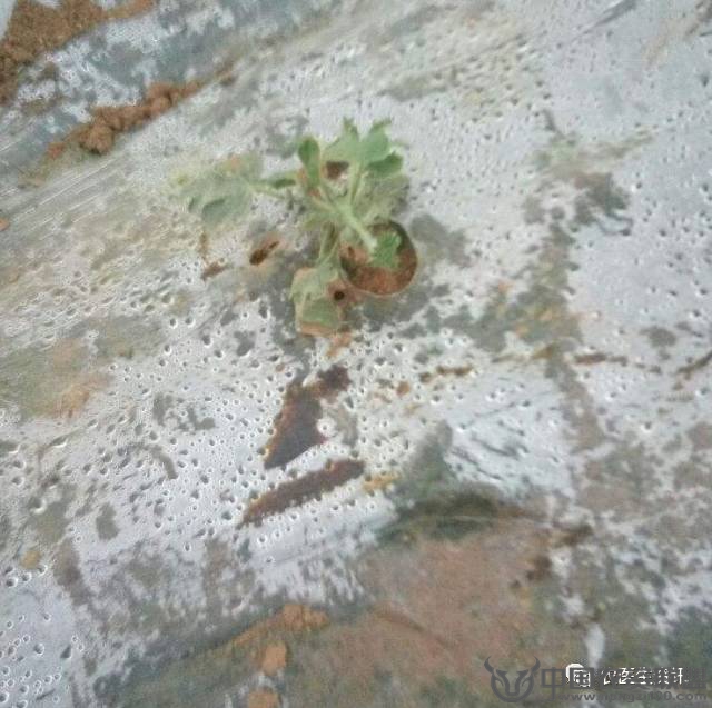 附件