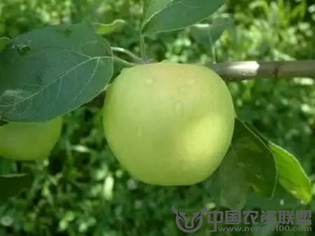 附件