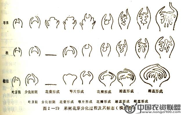 附件