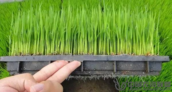 附件