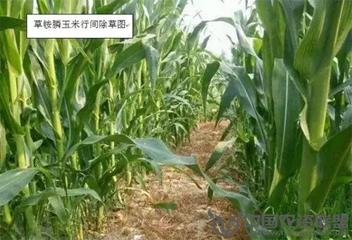 附件
