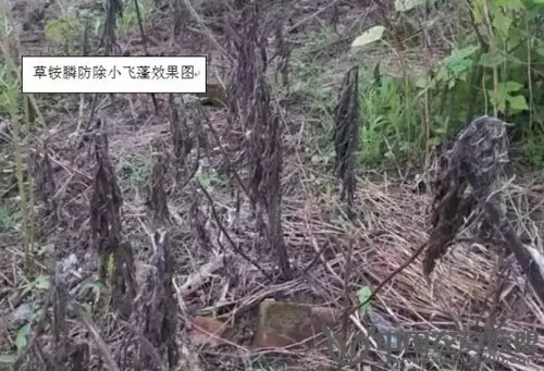 附件