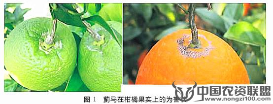 附件