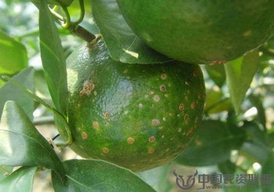 附件