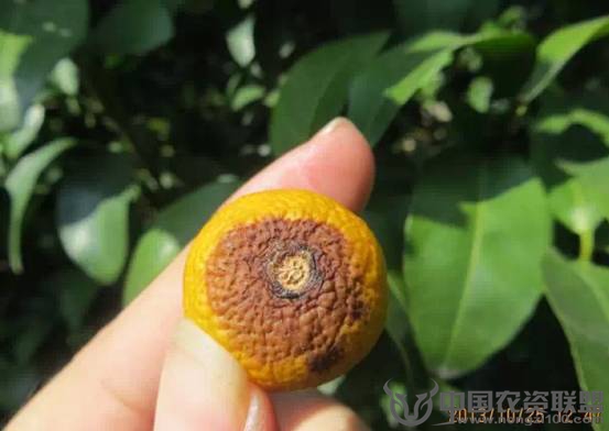 附件