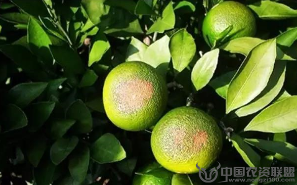 附件