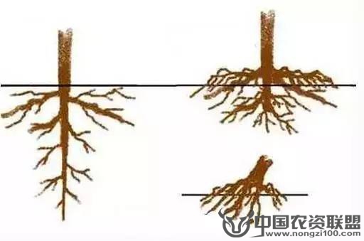 附件