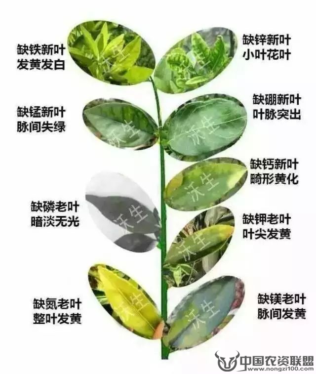 附件