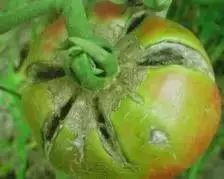 附件