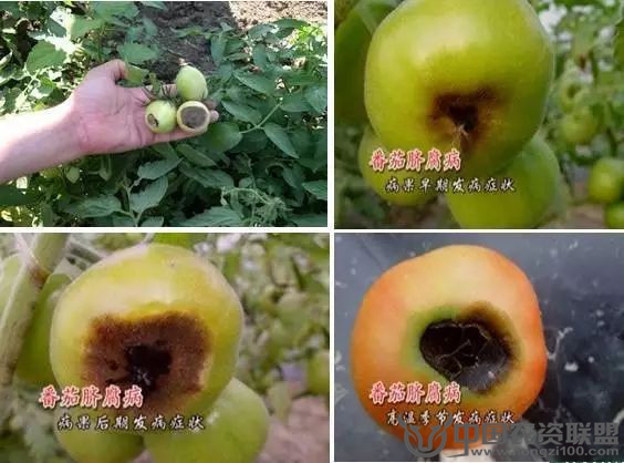 附件
