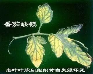 附件