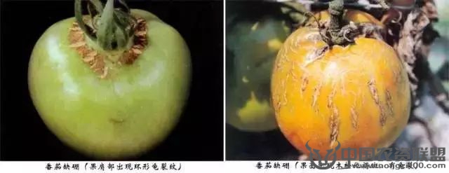 附件
