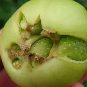 附件