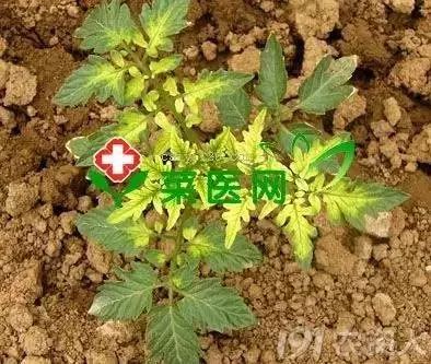 附件