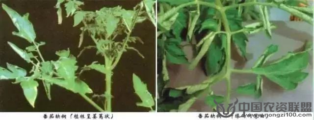 附件