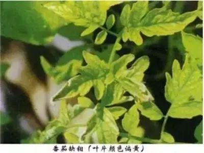 附件
