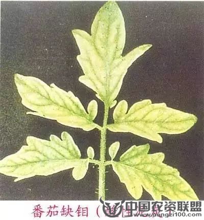 附件