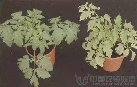 附件