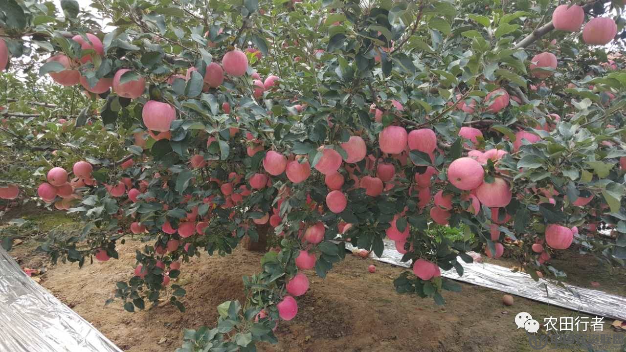 附件