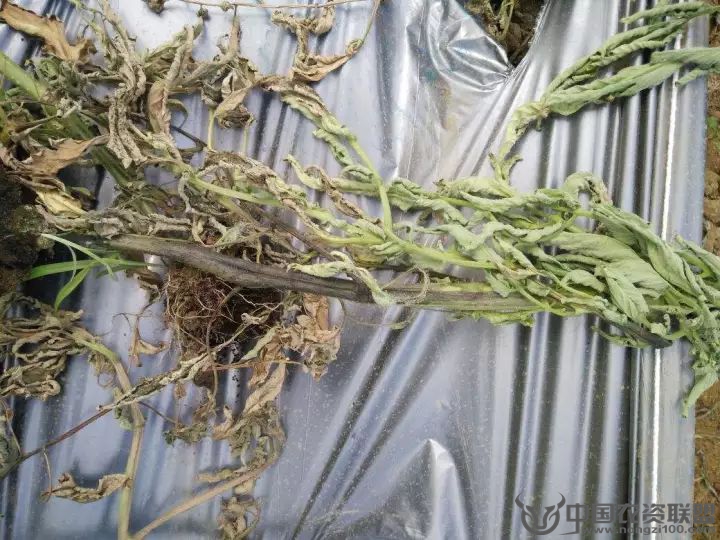 附件